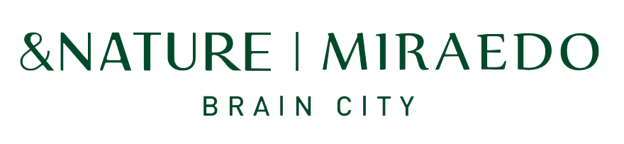 평택 브레인시티 앤네이처 미래도